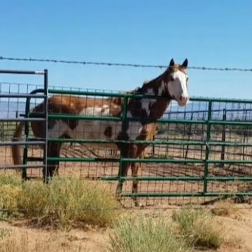 Roosevelt Land Ownership